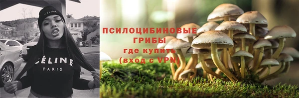 спиды Алексин