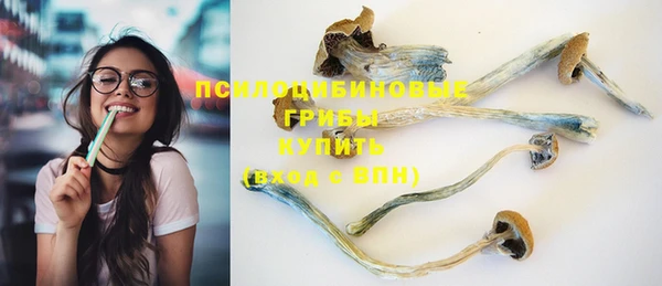 спиды Алексин