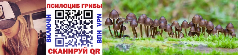 Галлюциногенные грибы Psilocybine cubensis  наркотики  Алупка 